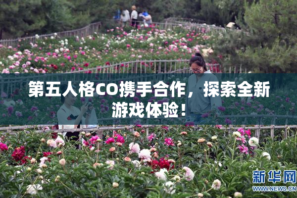 第五人格CO携手合作，探索全新游戏体验！