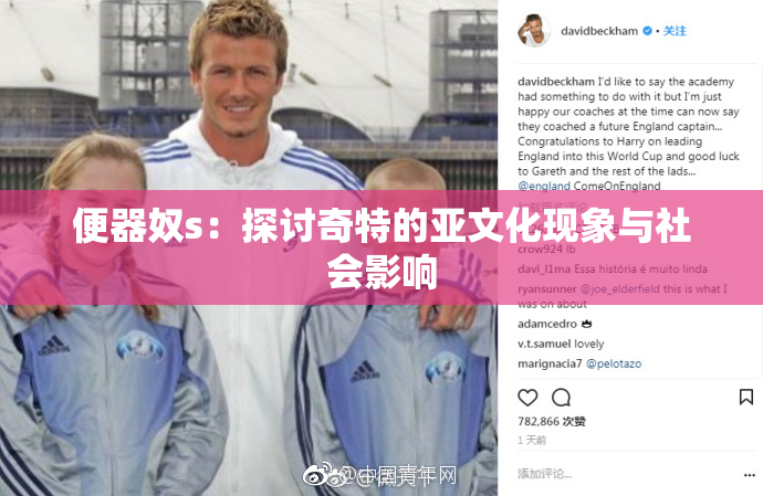便器奴s：探讨奇特的亚文化现象与社会影响
