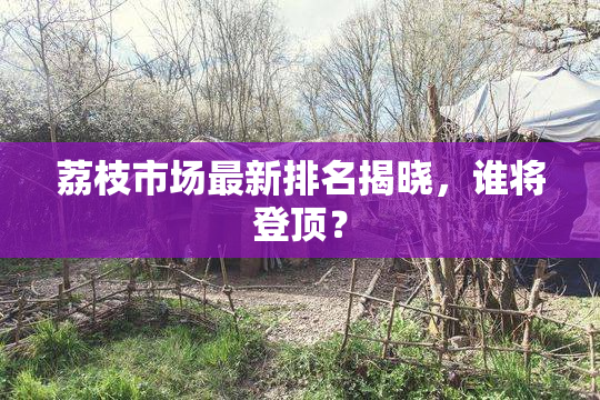 荔枝市场最新排名揭晓，谁将登顶？