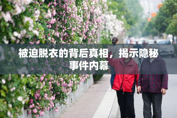 被迫脱衣的背后真相，揭示隐秘事件内幕