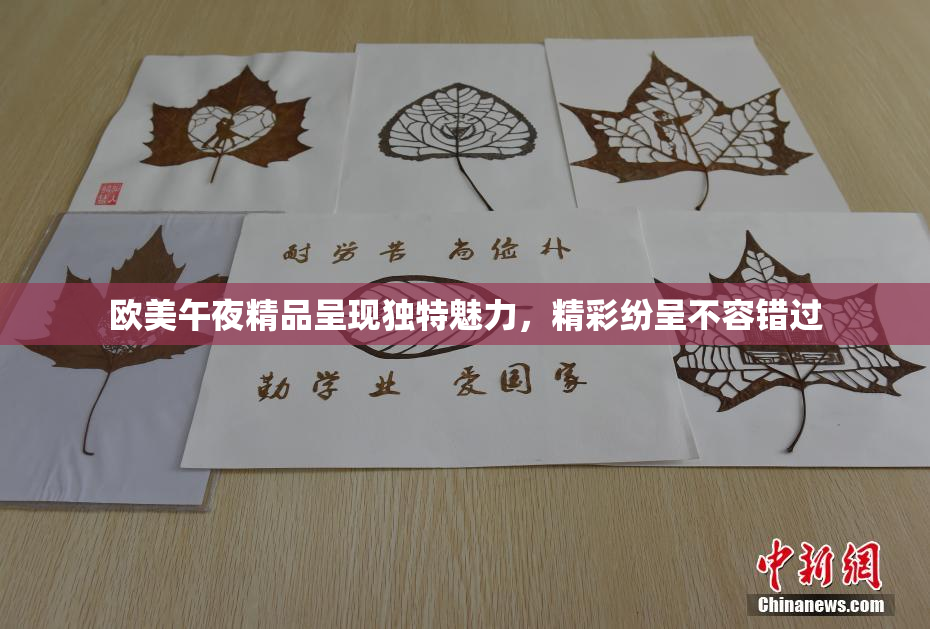 欧美午夜精品呈现独特魅力，精彩纷呈不容错过