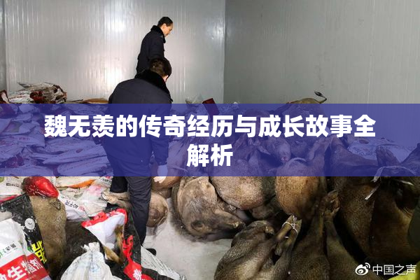 魏无羡的传奇经历与成长故事全解析