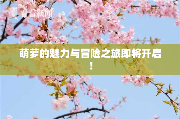 萌萝的魅力与冒险之旅即将开启！