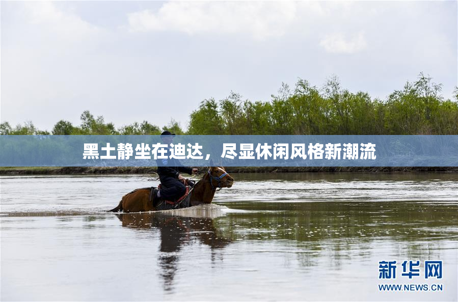黑土静坐在迪达，尽显休闲风格新潮流