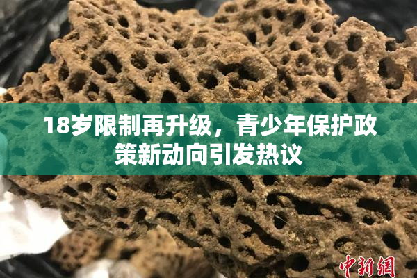 18岁限制再升级，青少年保护政策新动向引发热议