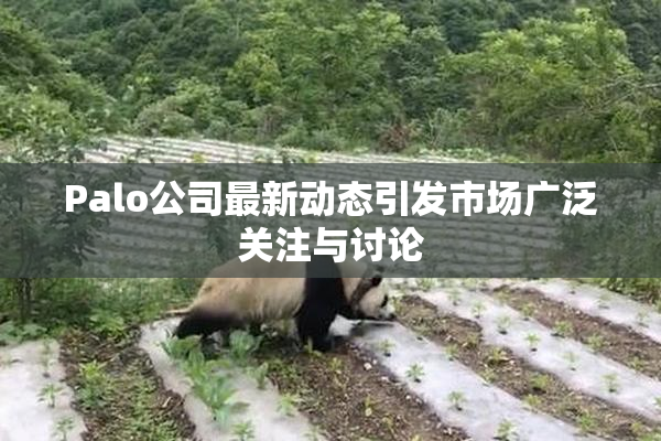 Palo公司最新动态引发市场广泛关注与讨论