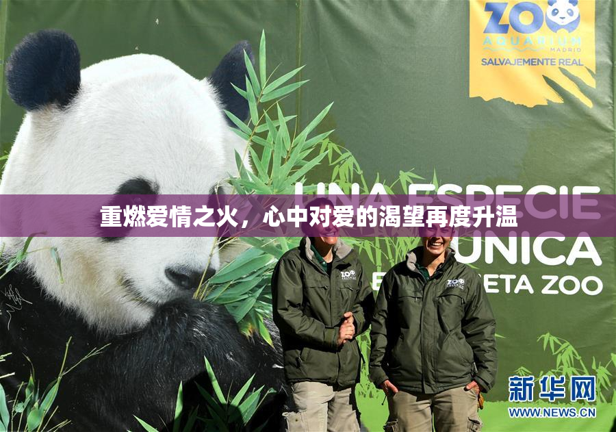 重燃爱情之火，心中对爱的渴望再度升温