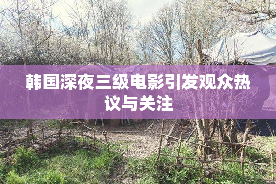 韩国深夜三级电影引发观众热议与关注