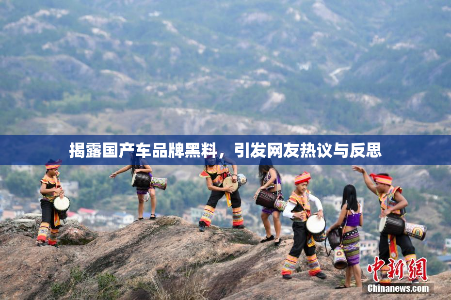 揭露国产车品牌黑料，引发网友热议与反思