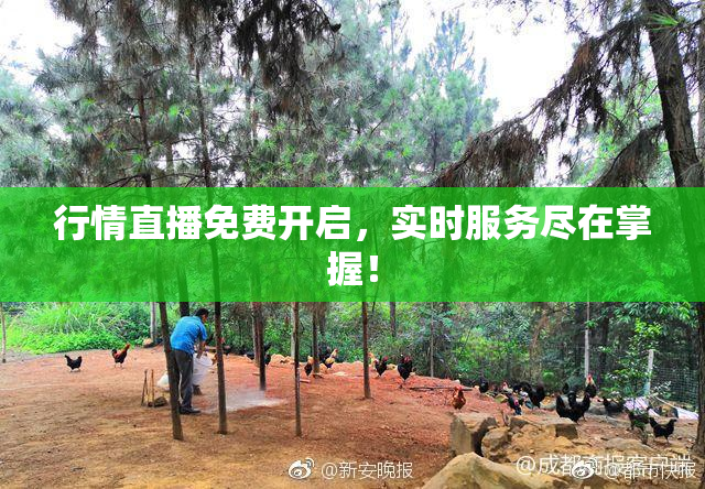 行情直播免费开启，实时服务尽在掌握！