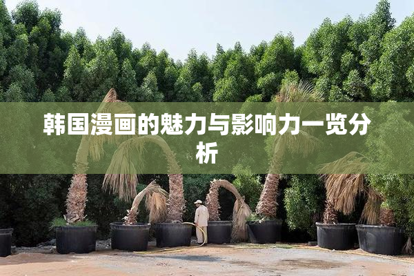 韩国漫画的魅力与影响力一览分析