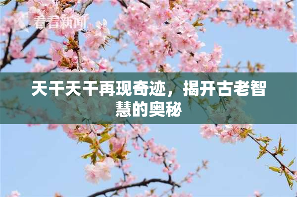 天干天干再现奇迹，揭开古老智慧的奥秘