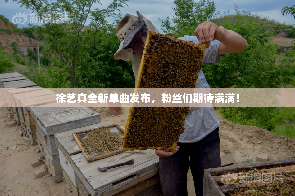 徐艺真全新单曲发布，粉丝们期待满满！