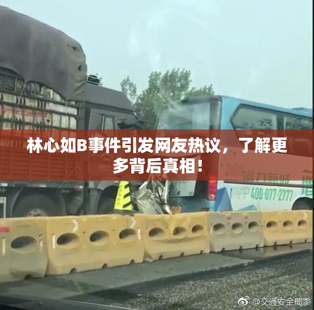林心如B事件引发网友热议，了解更多背后真相！