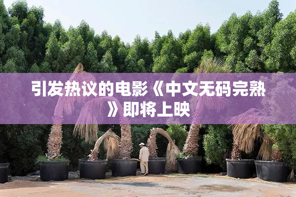 引发热议的电影《中文无码完熟》即将上映