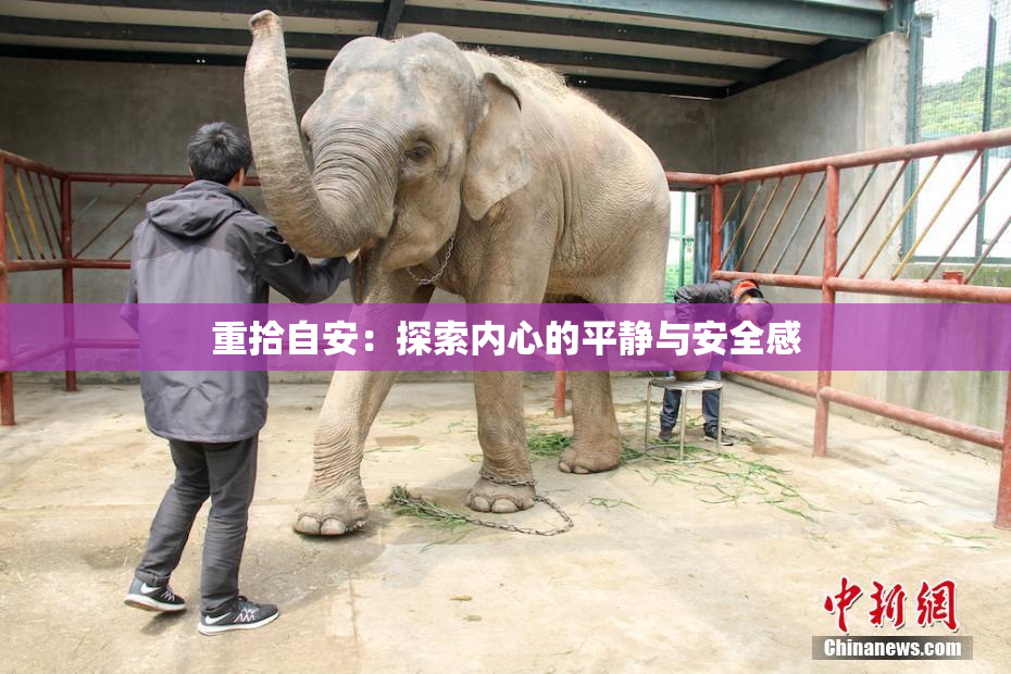 重拾自安：探索内心的平静与安全感