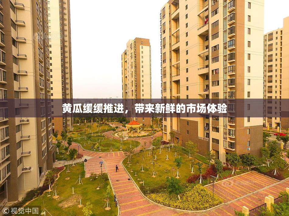 黄瓜缓缓推进，带来新鲜的市场体验