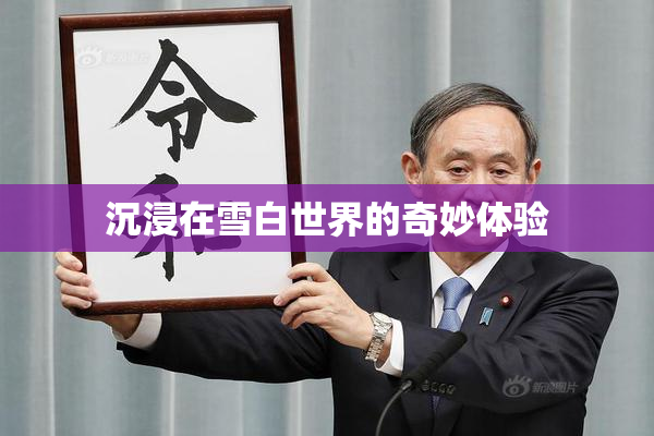 沉浸在雪白世界的奇妙体验