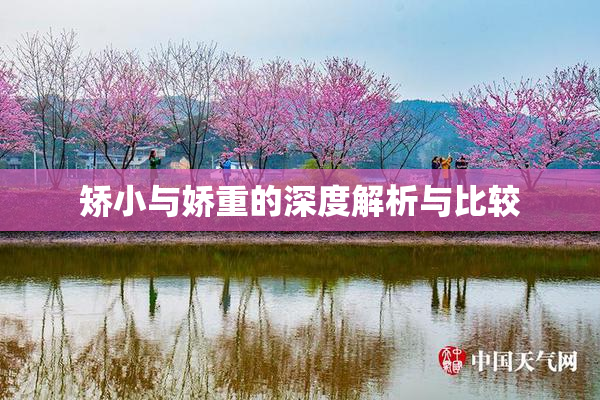 矫小与娇重的深度解析与比较