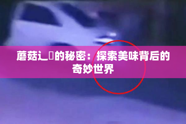 蘑菇辶喿的秘密：探索美味背后的奇妙世界