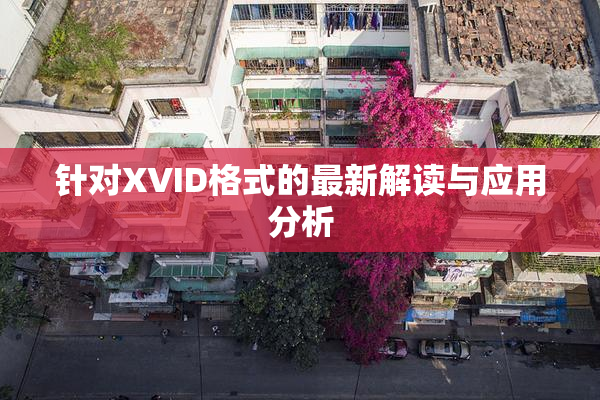 针对XVID格式的最新解读与应用分析