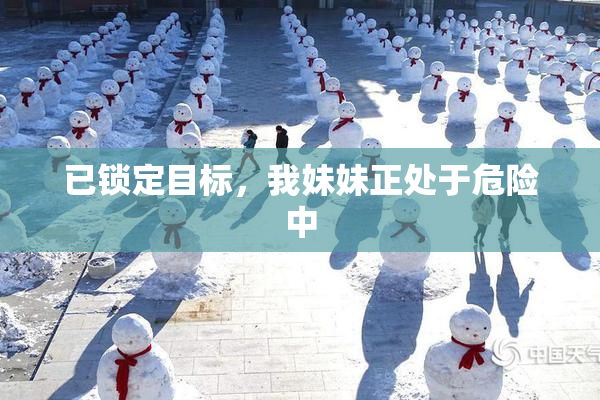 已锁定目标，我妹妹正处于危险中