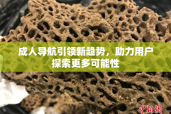 成人导航引领新趋势，助力用户探索更多可能性