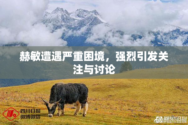 赫敏遭遇严重困境，强烈引发关注与讨论