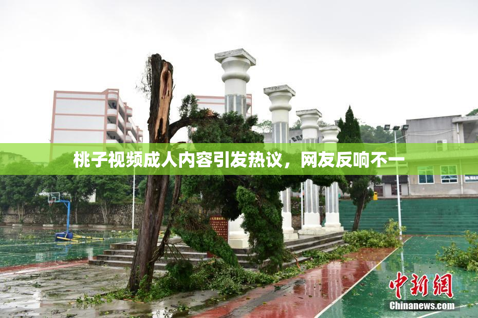 桃子视频成人内容引发热议，网友反响不一