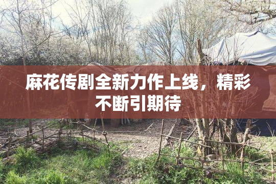 麻花传剧全新力作上线，精彩不断引期待