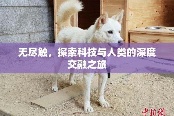 无尽触，探索科技与人类的深度交融之旅