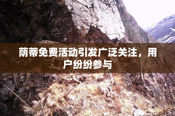 荫蒂免费活动引发广泛关注，用户纷纷参与