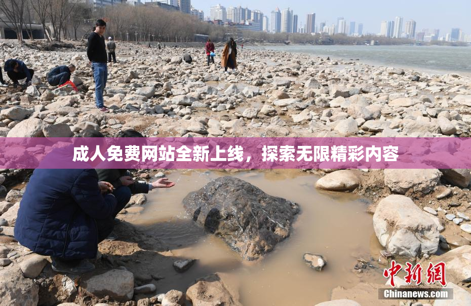 成人免费网站全新上线，探索无限精彩内容