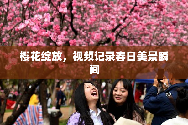 樱花绽放，视频记录春日美景瞬间