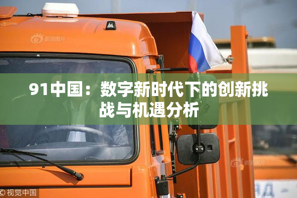 91中国：数字新时代下的创新挑战与机遇分析