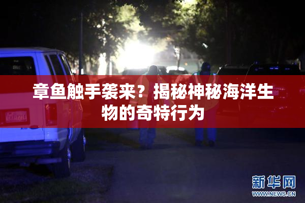 章鱼触手袭来？揭秘神秘海洋生物的奇特行为
