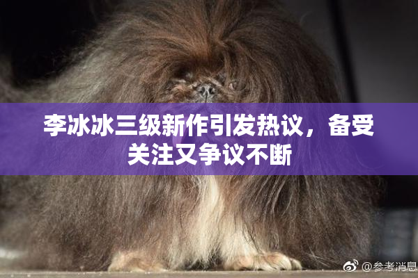 李冰冰三级新作引发热议，备受关注又争议不断