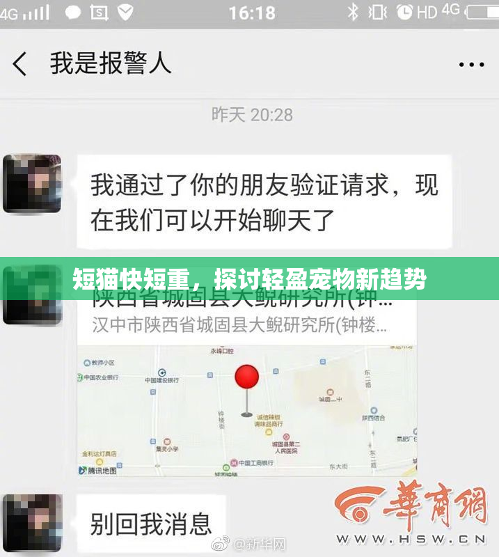 短猫快短重，探讨轻盈宠物新趋势
