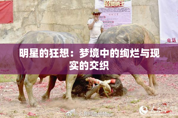 明星的狂想：梦境中的绚烂与现实的交织