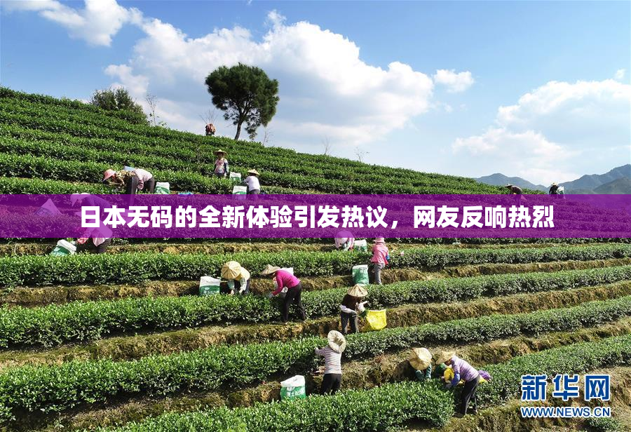 日本无码的全新体验引发热议，网友反响热烈