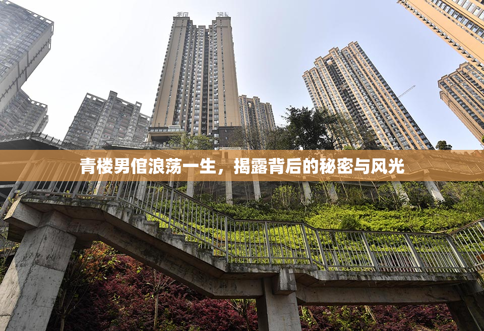 青楼男倌浪荡一生，揭露背后的秘密与风光