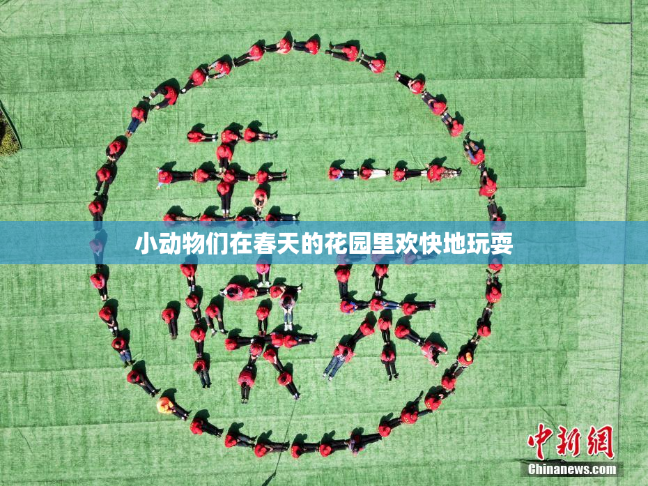 小动物们在春天的花园里欢快地玩耍
