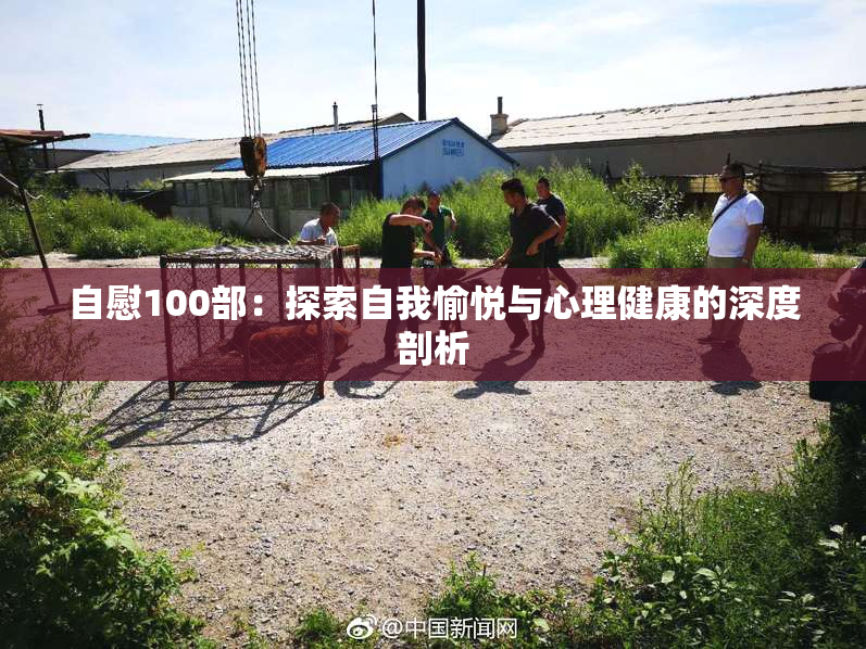 自慰100部：探索自我愉悦与心理健康的深度剖析