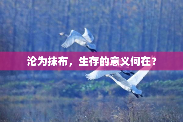 沦为抹布，生存的意义何在？