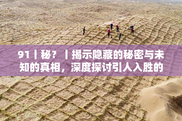 91丨秘？丨揭示隐藏的秘密与未知的真相，深度探讨引人入胜的故事