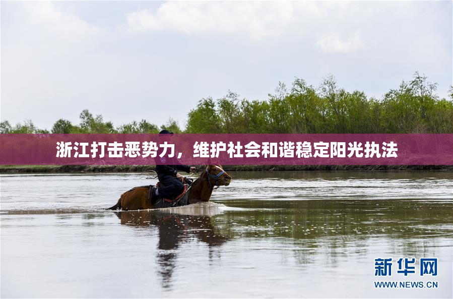 浙江打击恶势力，维护社会和谐稳定阳光执法