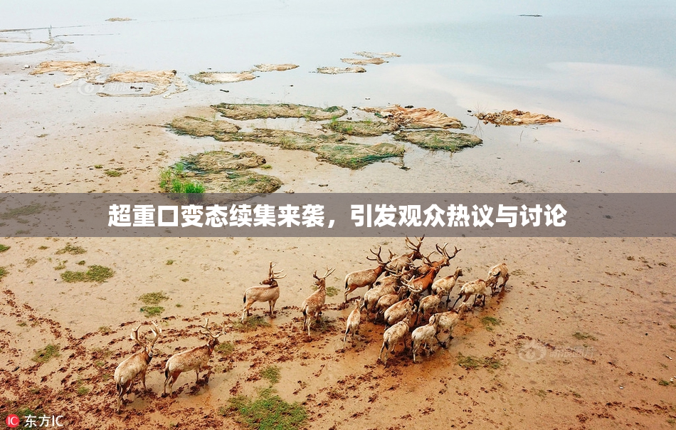 超重口变态续集来袭，引发观众热议与讨论