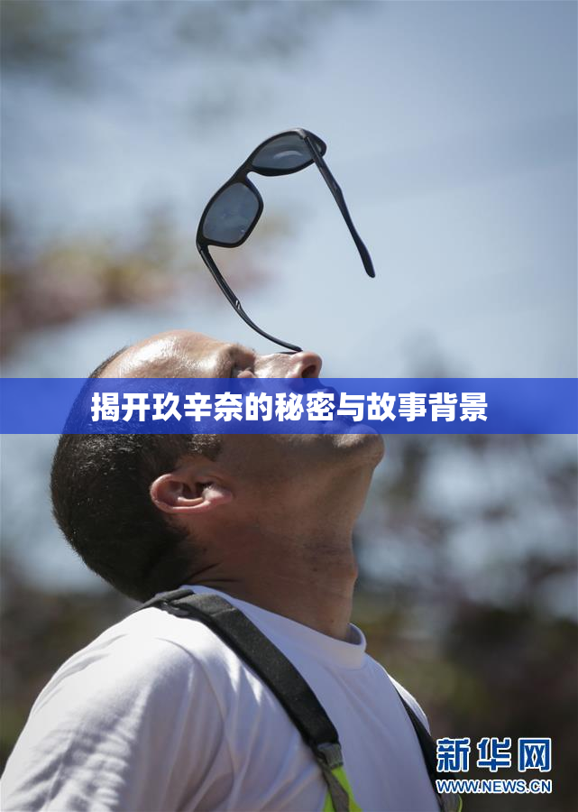 揭开玖辛奈的秘密与故事背景
