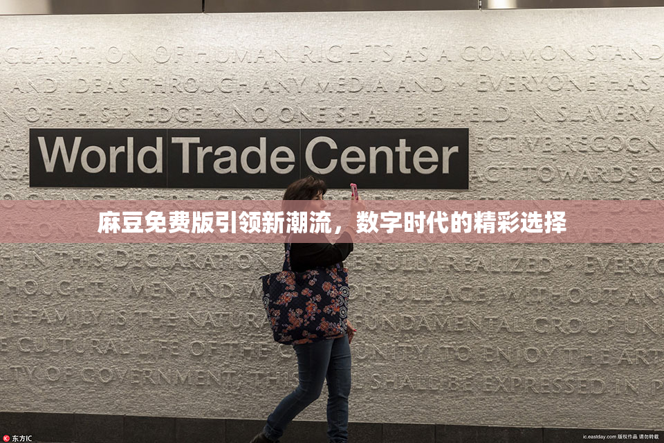 麻豆免费版引领新潮流，数字时代的精彩选择