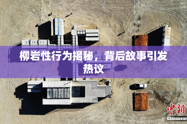 柳岩性行为揭秘，背后故事引发热议